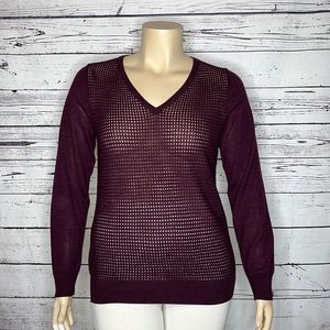 The Limited NWT Size XL Purple Merino Wool Blend Lightweight V-Neck Sweater Top